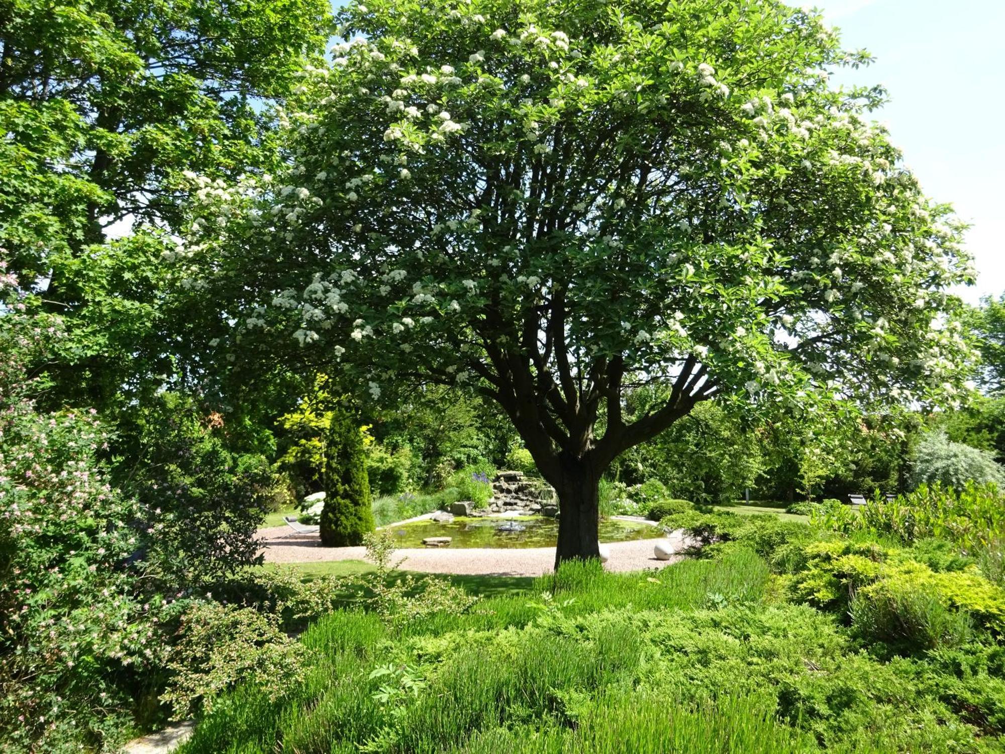 Solrosen I Simrishamn - Oesterlen 外观 照片