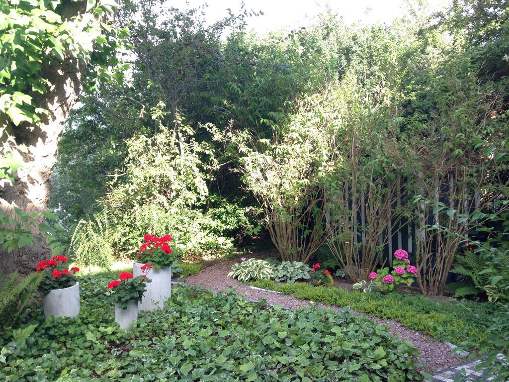 Solrosen I Simrishamn - Oesterlen 外观 照片
