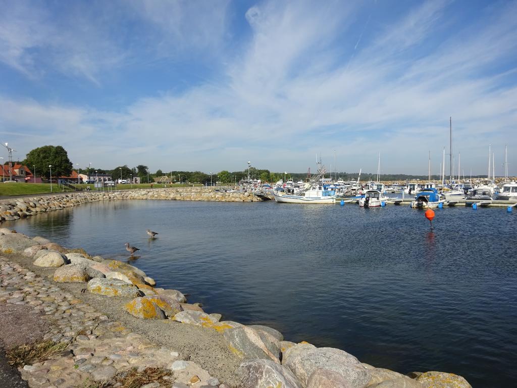 Solrosen I Simrishamn - Oesterlen 外观 照片